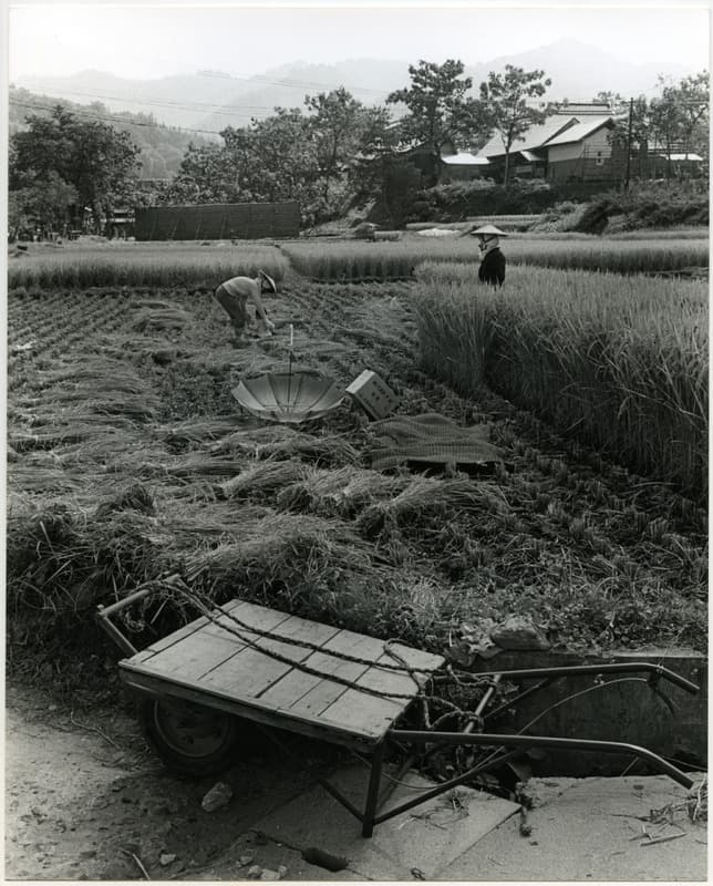 竹島善一写真197610金山町