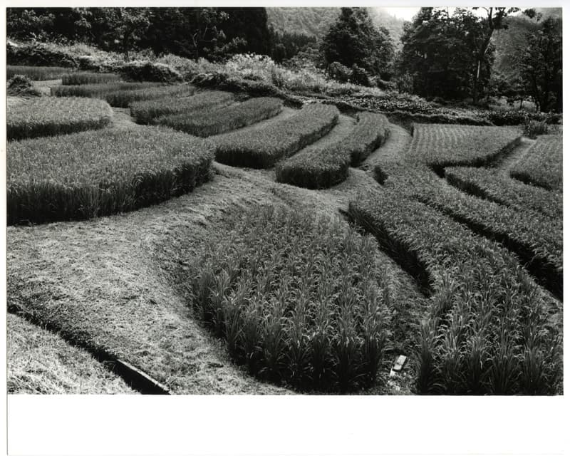 竹島善一写真200208金山町