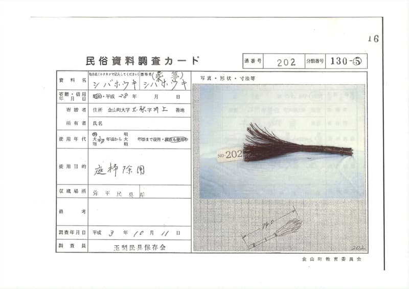 地方名:シバホウキ
