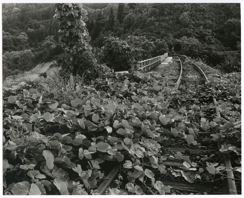 竹島善一写真201109金山町