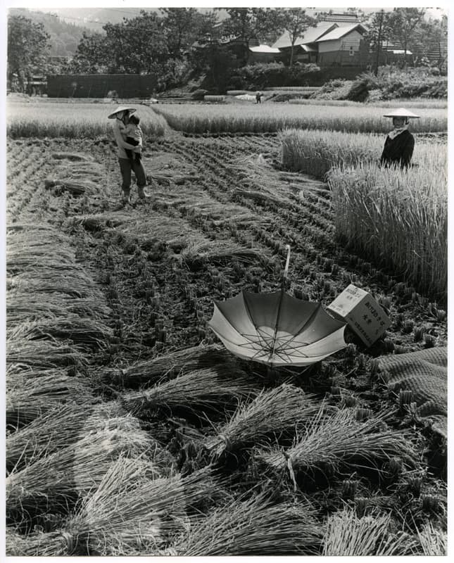 竹島善一写真197610金山町