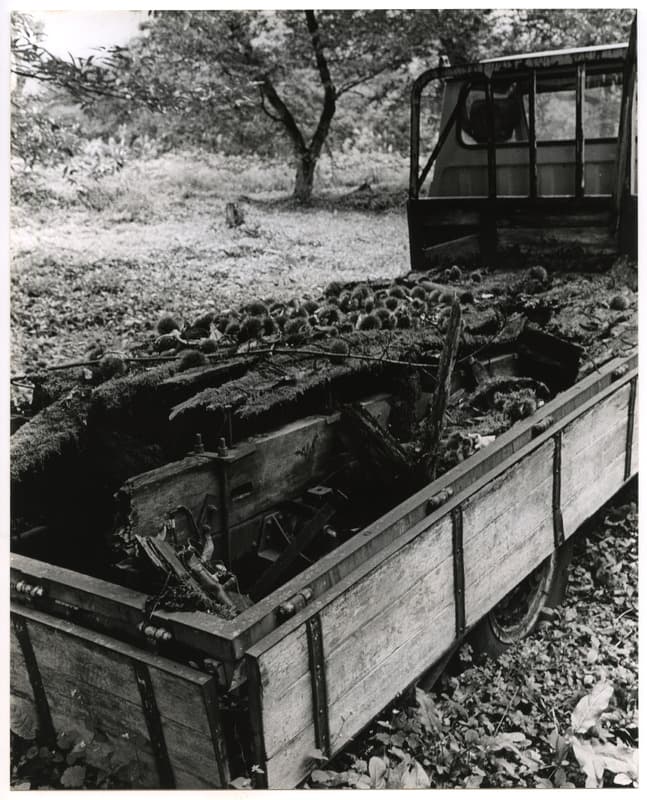 竹島善一写真000000金山町