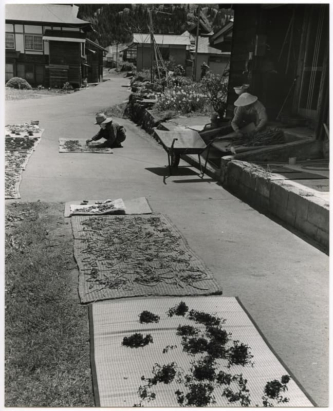 竹島善一写真200505金山町