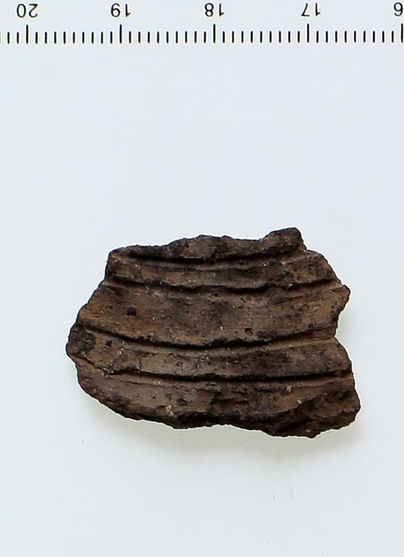 縄文土器片