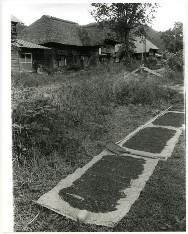 竹島善一写真198309金山町