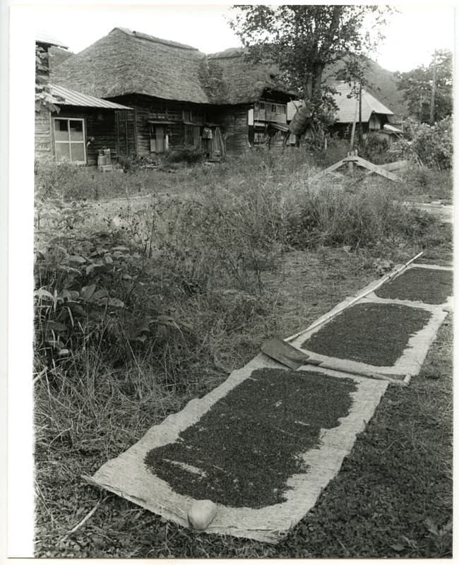 竹島善一写真198309金山町