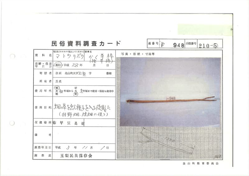 地方名:マトウリボウ