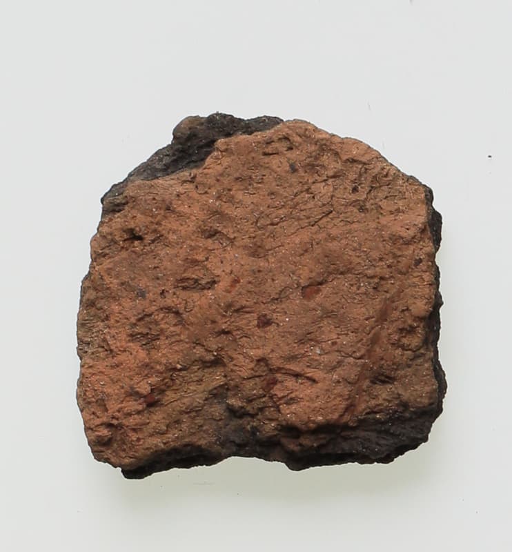 縄文土器片