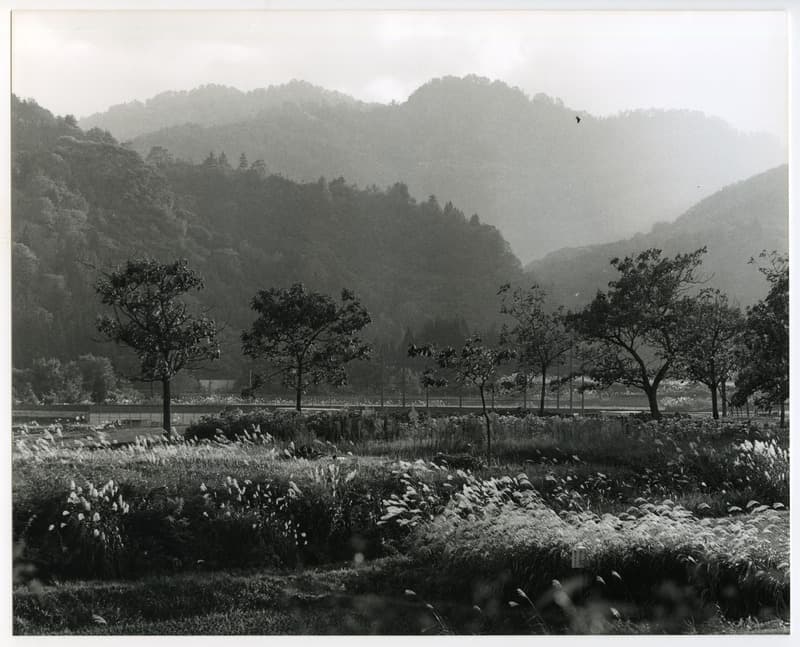 竹島善一写真198310金山町