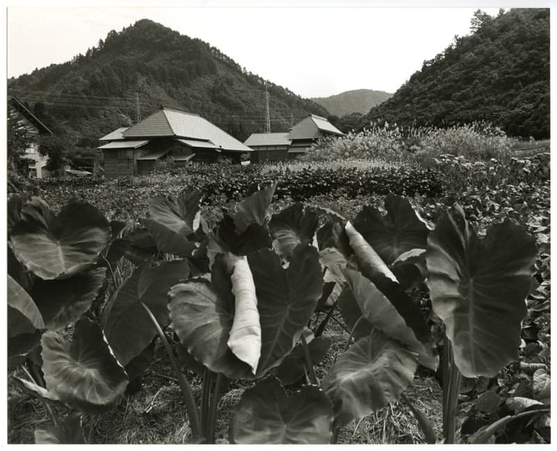 竹島善一写真200809金山町
