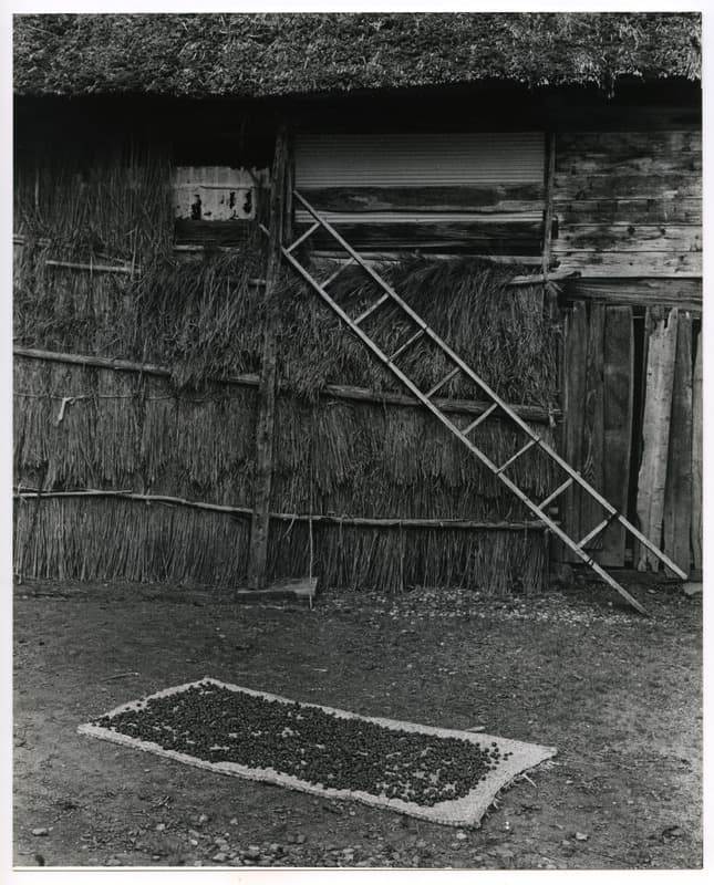 竹島善一写真198210金山町