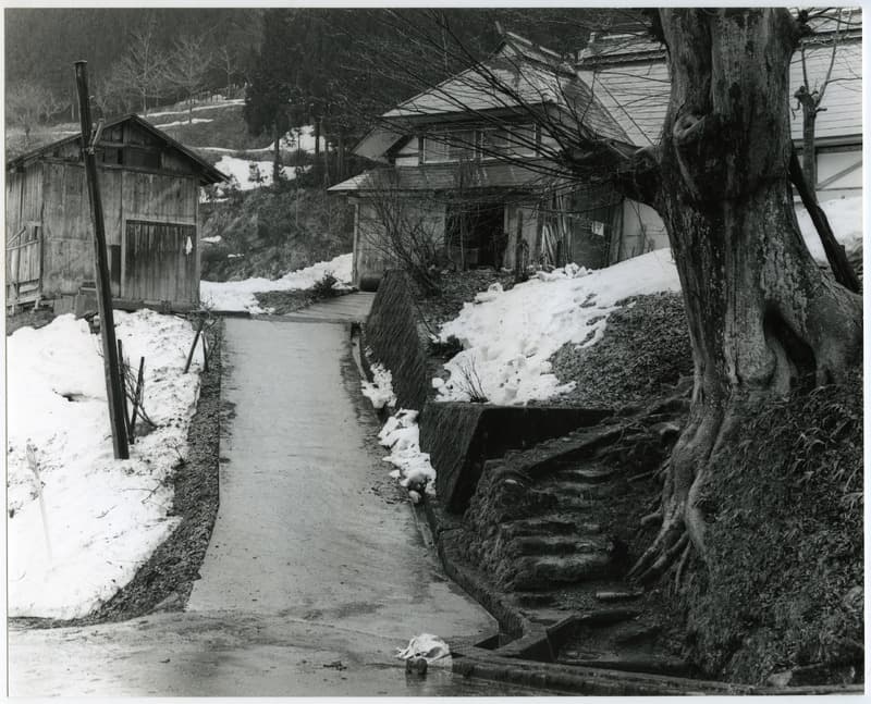 竹島善一写真200203金山町