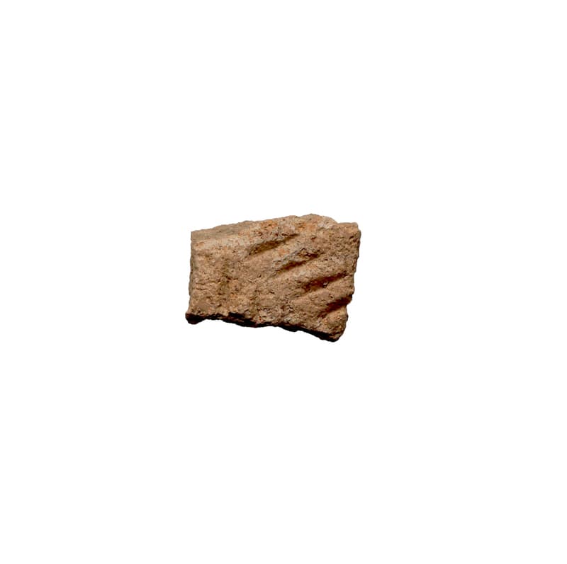 爪型文土器