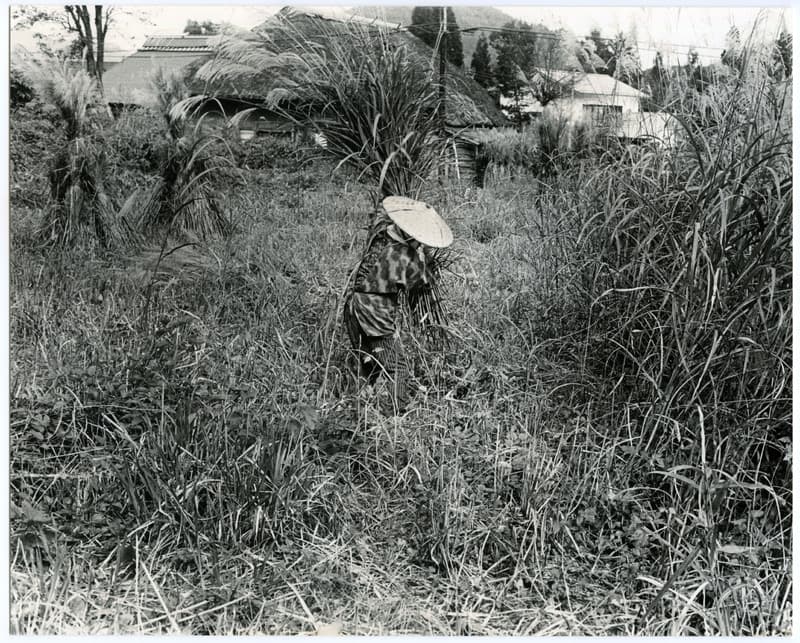竹島善一写真198309金山町