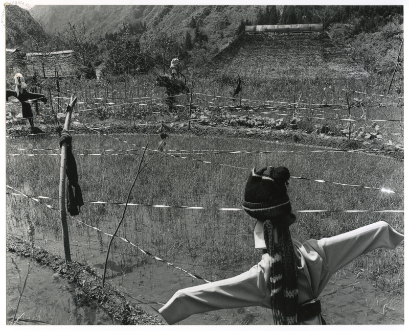 竹島善一写真198106金山町