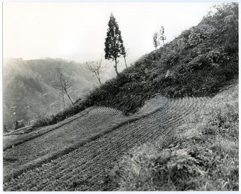 竹島善一写真198211金山町