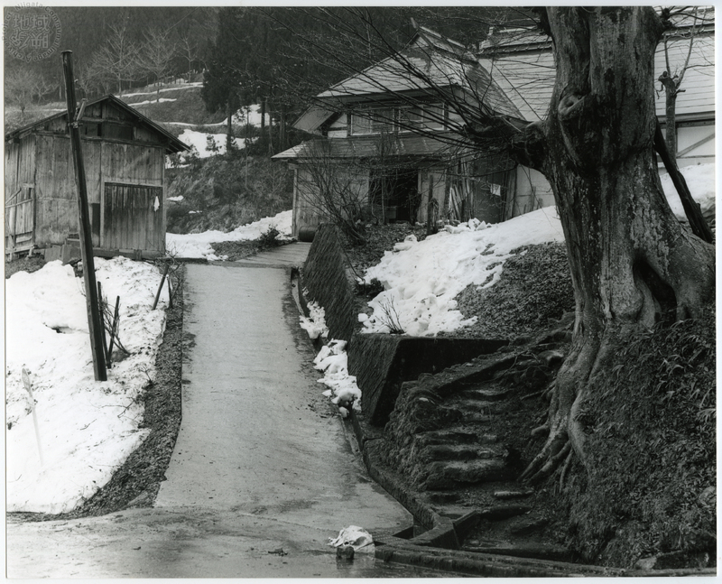 竹島善一写真200203金山町