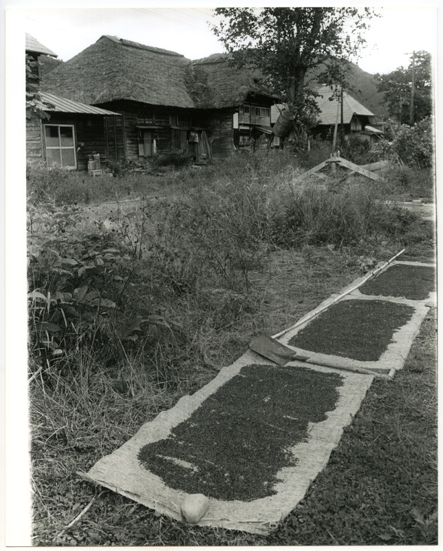 竹島善一写真198309金山町