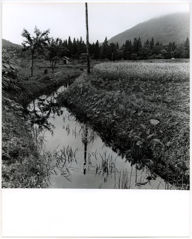 竹島善一写真197607金山町