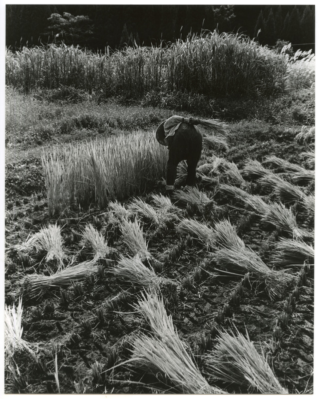 竹島善一写真199310金山町