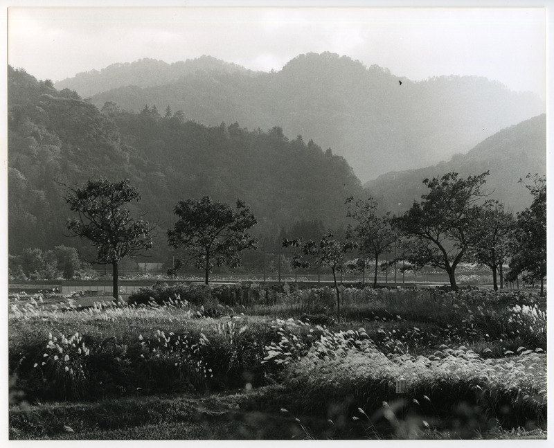 竹島善一写真198310金山町