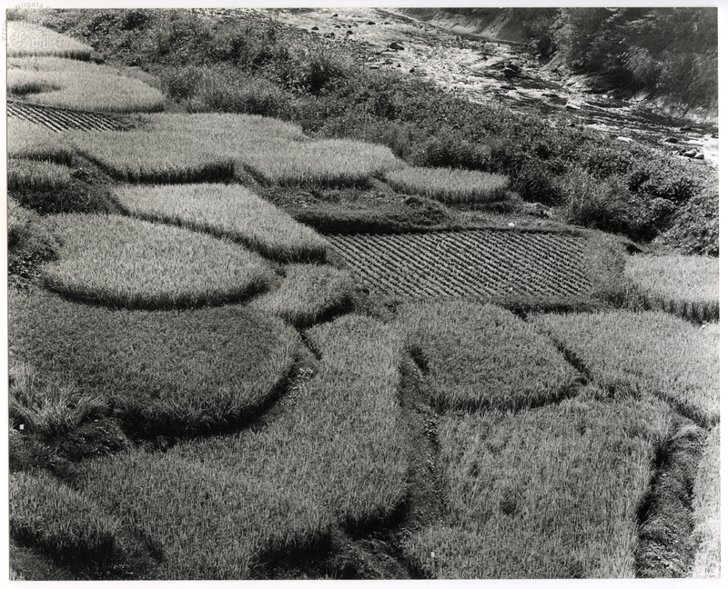 竹島善一写真197610金山町