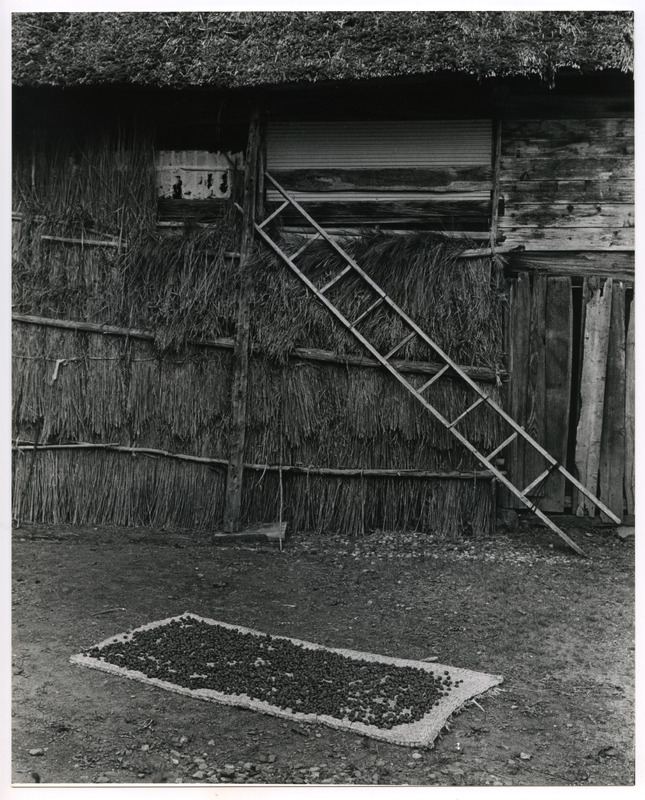 竹島善一写真198210金山町
