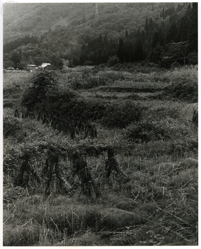 竹島善一写真198310金山町