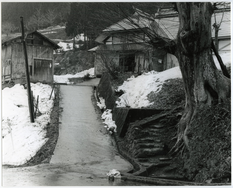 竹島善一写真200203金山町