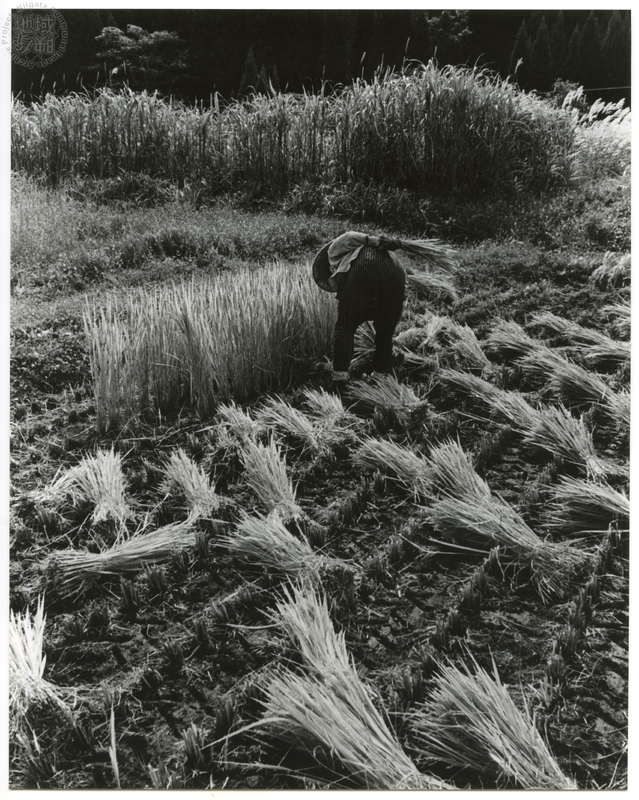 竹島善一写真199310金山町
