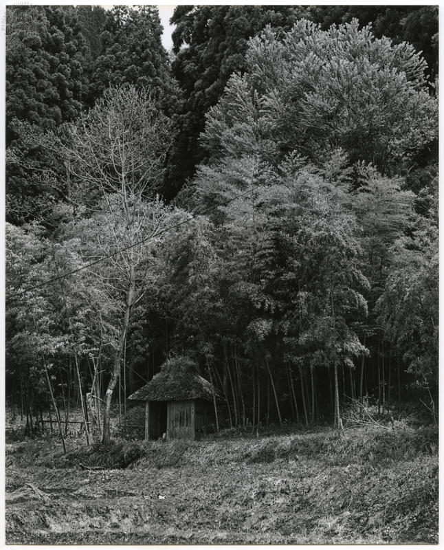 竹島善一写真197705金山町