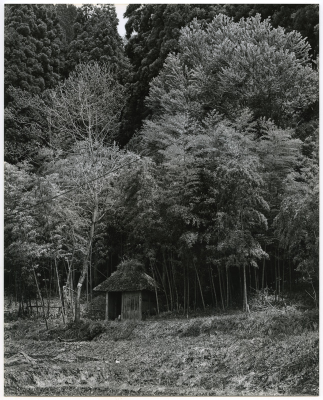 竹島善一写真197705金山町