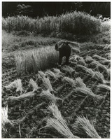 竹島善一写真199310金山町