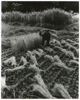 竹島善一写真199310金山町