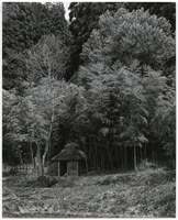 竹島善一写真197705金山町