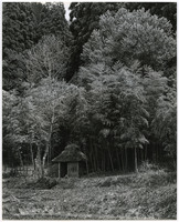 竹島善一写真197705金山町